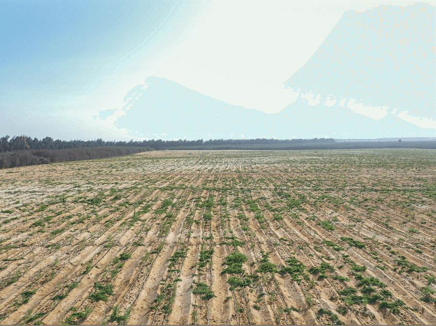 Corporate Social Responsibility