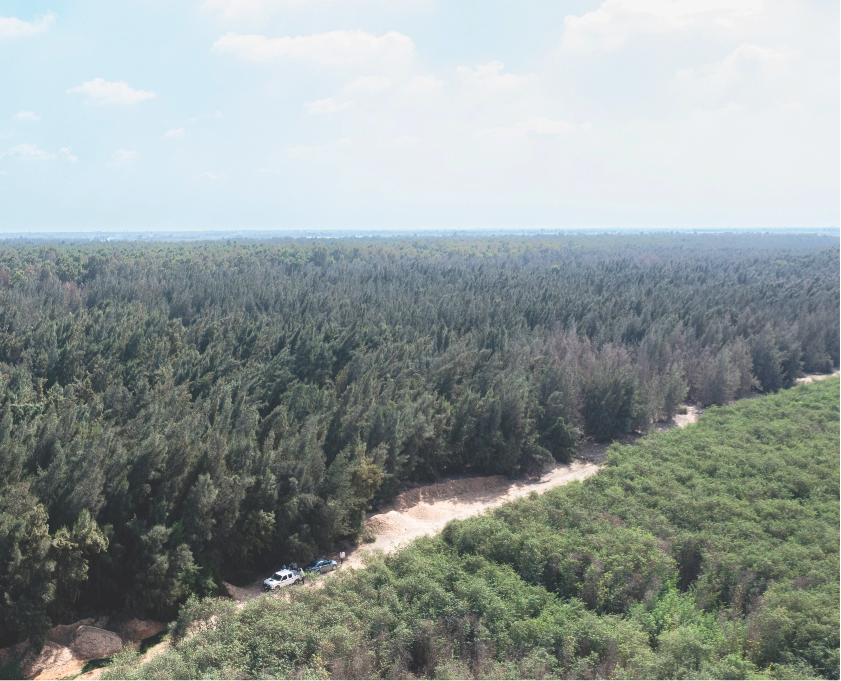 Community & Social Impact