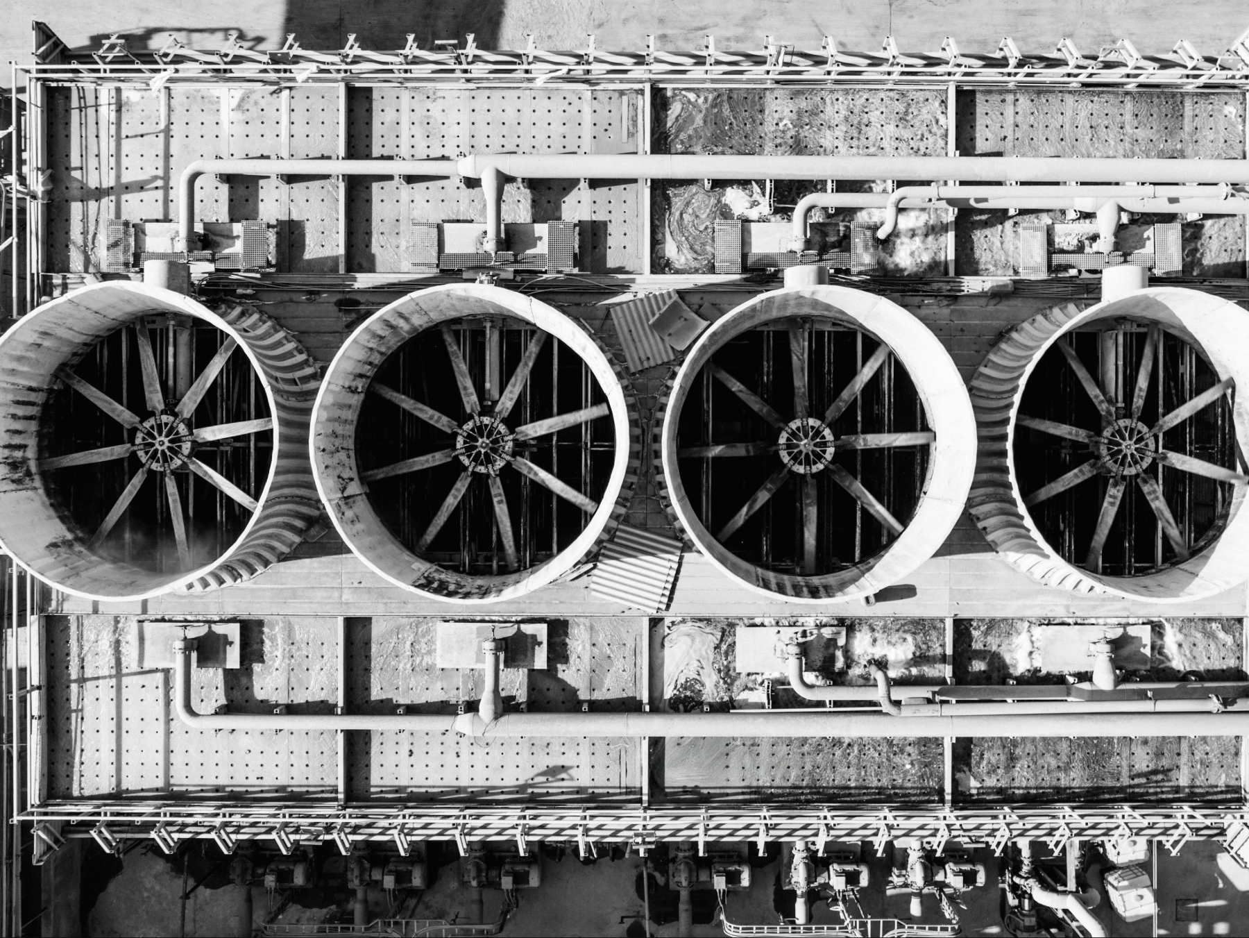 Integrity & Transparency