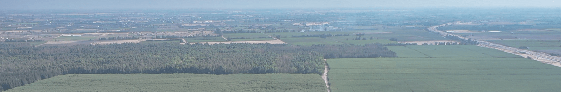 Environmental & Social Governance